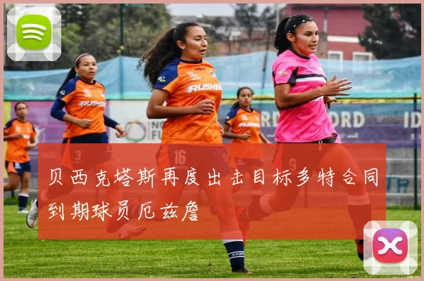 贝西克塔斯再度出击目标多特合同到期球员厄兹詹
