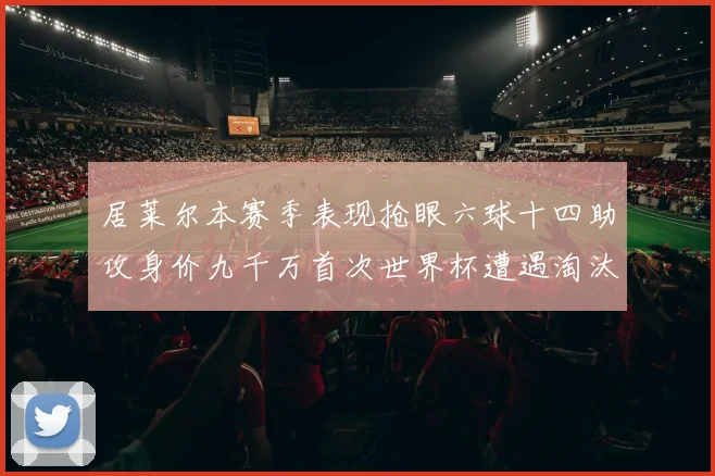 居莱尔本赛季表现抢眼六球十四助攻身价九千万首次世界杯遭遇淘汰